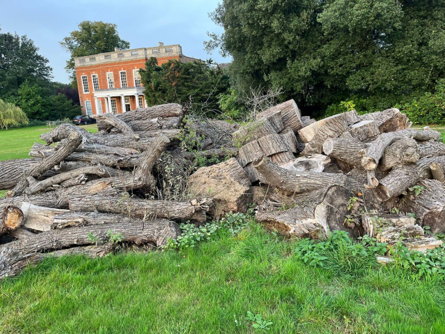 Seasoned hardwood firewood logs stacked after Gildergreen tree felling work